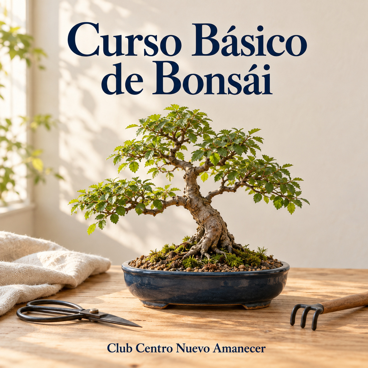 Bonsái en una maceta baja junto a herramientas de cuidado.
